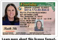 florida drivers license search
